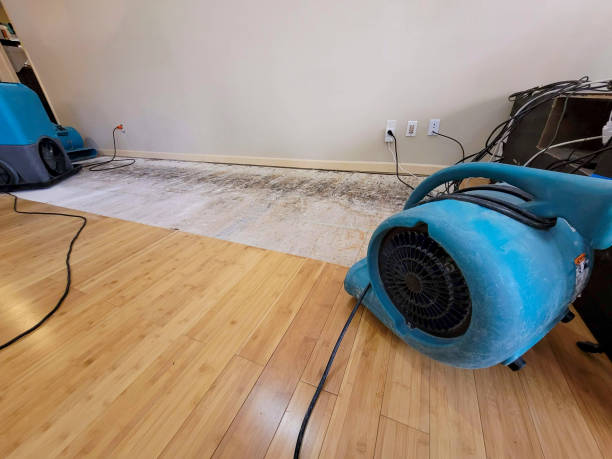 Professional Structural Drying technician working in Mendon, UT